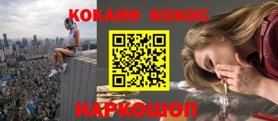 дмт Аргун