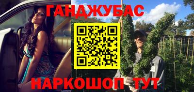 дмт Аргун