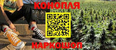 дмт Аргун