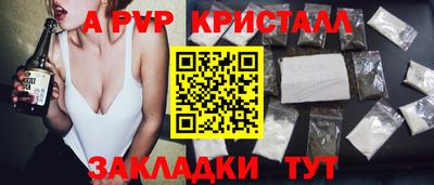 дмт Аргун